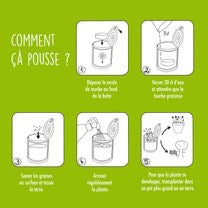 Kit à semer graines